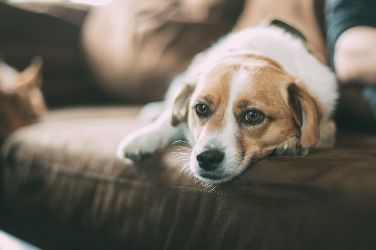 Our story